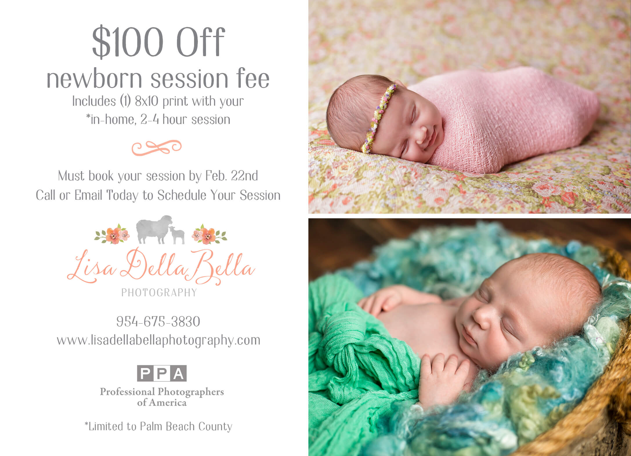 Newborn Session Special