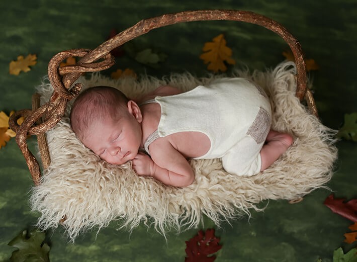 Newborn baby boy posed on branch bed