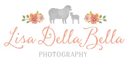 lisa della bella logo